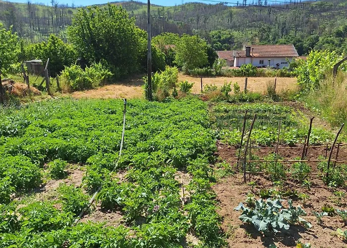 Casa de Campo Boas House
